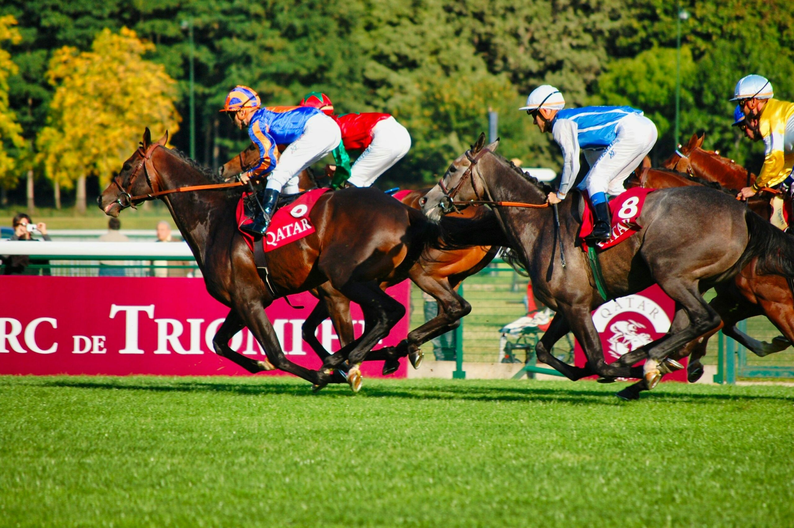 Glorious Goodwood